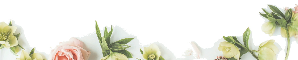 fond-accueil-P7png-80-.png