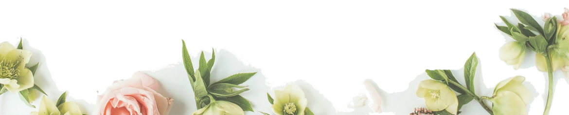 fond-accueil-P7png-80-1200px.png