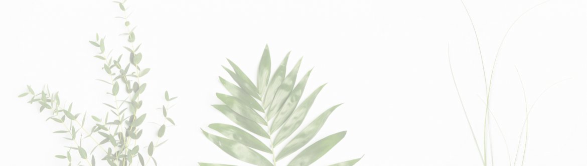 verdure-2.jpg
